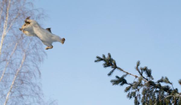 Прикрепленное изображение: IMGP2800.jpg