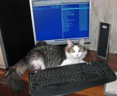 Прикрепленное изображение: pussycat.jpg
