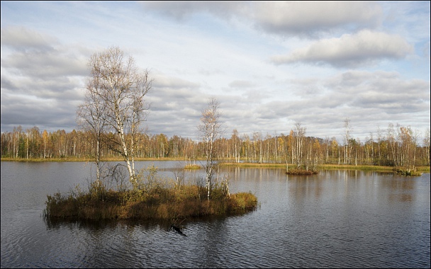 Прикрепленное изображение: DSC03456_0s.jpg