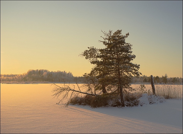 Прикрепленное изображение: DSC02290_0cs.jpg