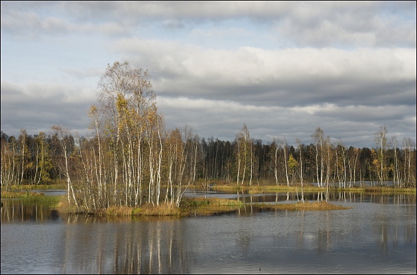 Прикрепленное изображение: DSC03432_1-2s.jpg
