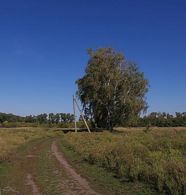 Прикрепленное изображение: IMGP5548_.jpg