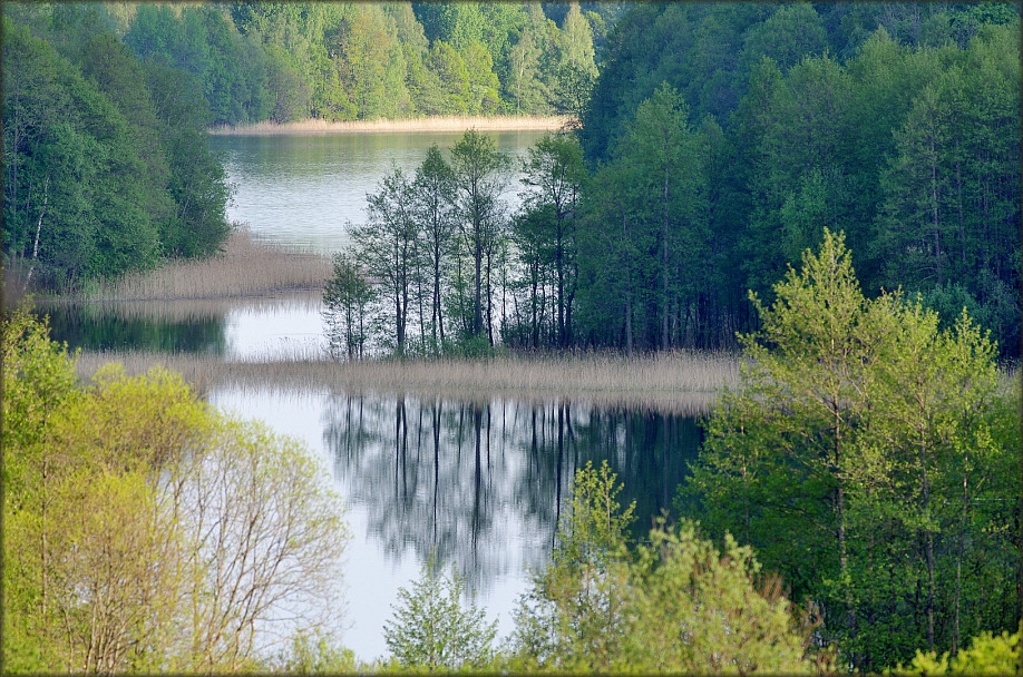 Прикрепленное изображение: IMGP5921.JPG