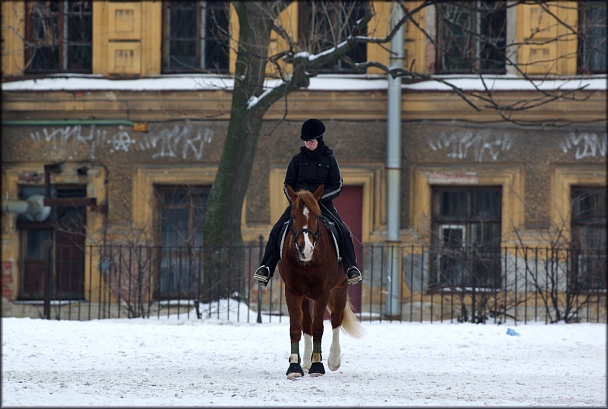 Прикрепленное изображение: IMGP1512.jpg