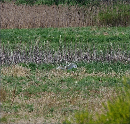 Прикрепленное изображение: IMGP9127.JPG