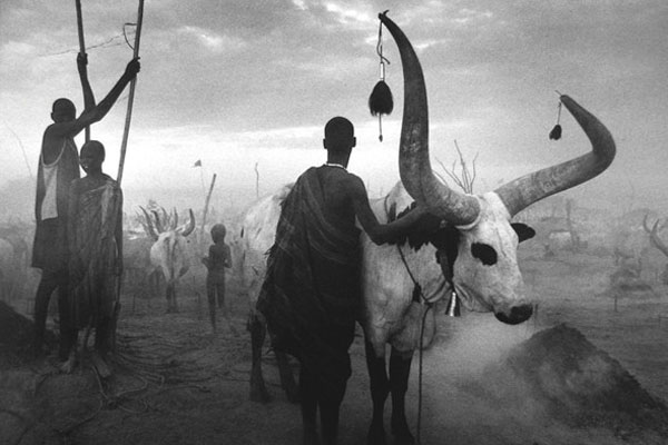 Прикрепленное изображение: Sebastião-Salgado-03.jpg