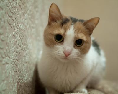 Прикрепленное изображение: _____1412.jpg