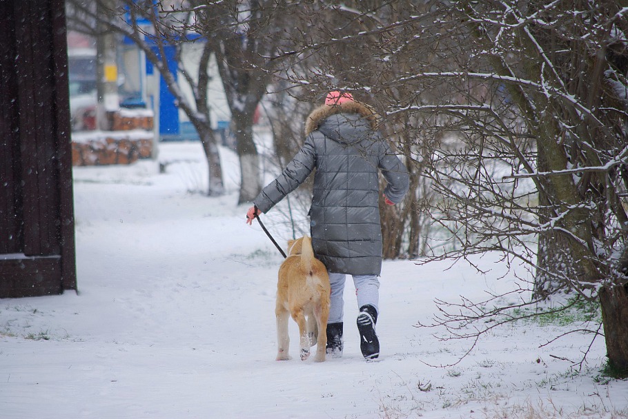 Прикрепленное изображение: 1673294571456-01_copy_1638x1096.jpg