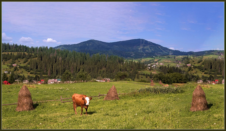 Прикрепленное изображение: IMGP0392-1z копия 2.jpg