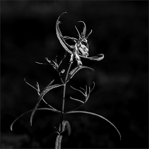 Прикрепленное изображение: IMGP7312 копия 2.jpg