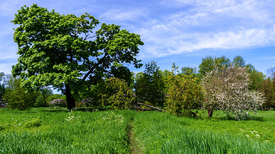 Прикрепленное изображение: DSC05915 копия.jpg