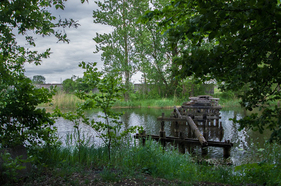 Прикрепленное изображение