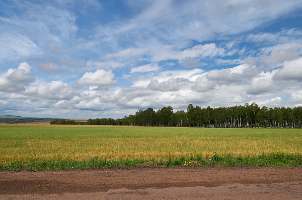 Прикрепленное изображение: IMGP6367-C1_У новоселово.jpg