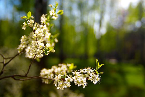 Прикрепленное изображение: IMG9966.jpg