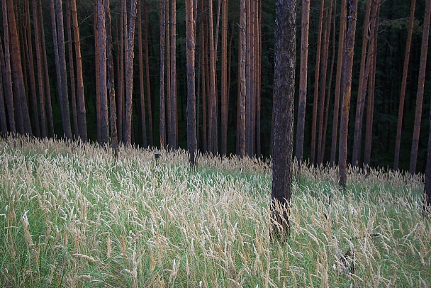 Прикрепленное изображение: IMGP7319.jpg