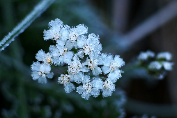 Прикрепленное изображение: IMGP5916.jpg
