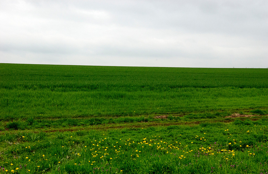 Прикрепленное изображение: DSC_1245-1.jpg