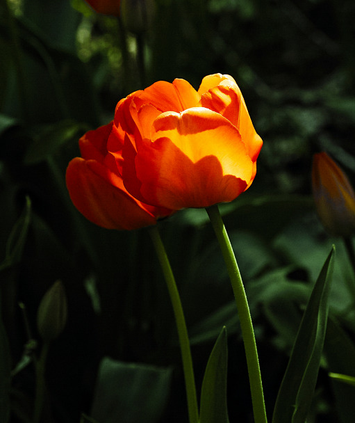 Прикрепленное изображение: SDQ_0382-111.jpg