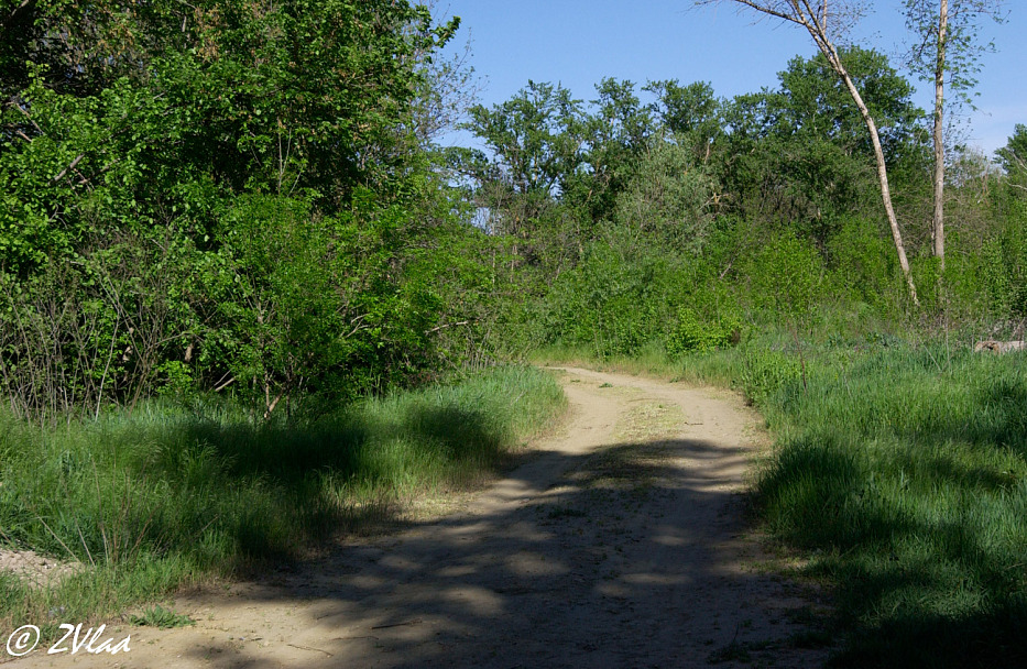 Прикрепленное изображение: DSC_1480-2.jpg