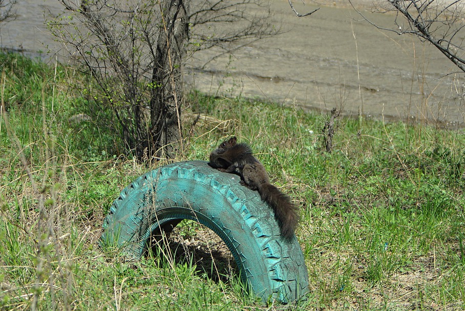 Прикрепленное изображение: IMGP9787я1080.jpg