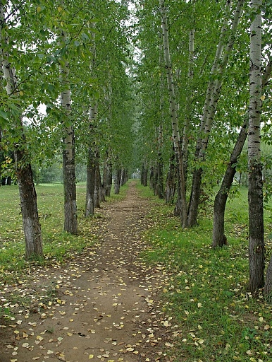 Прикрепленное изображение: IMGP9150_1.jpg