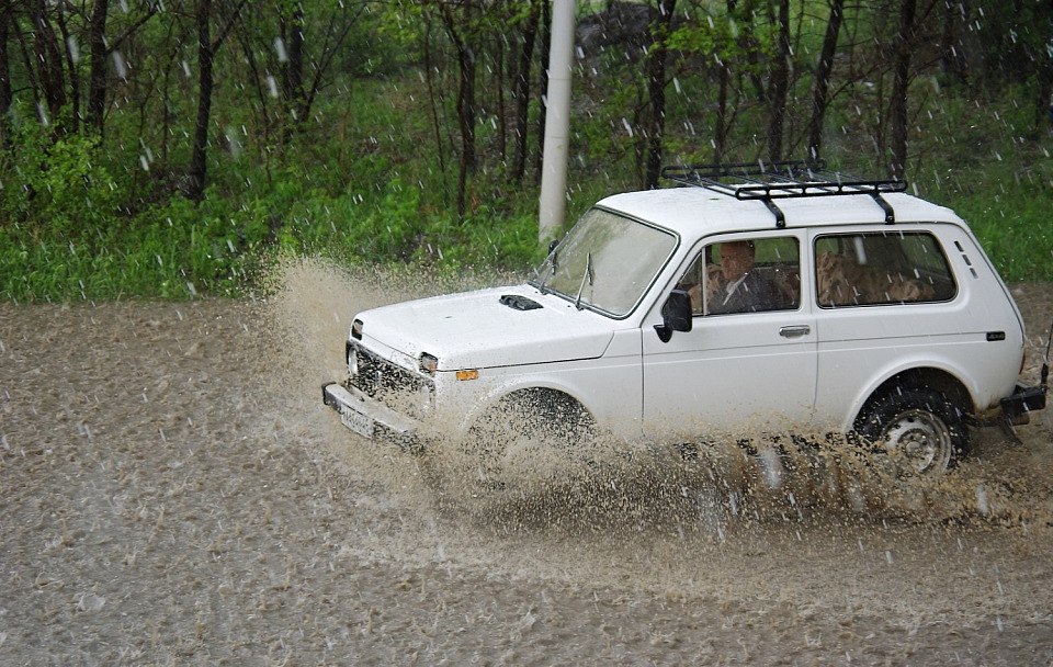 Прикрепленное изображение: IMGP2550zz.jpg