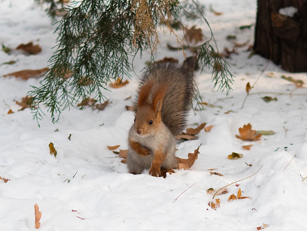 Прикрепленное изображение: IMGP0202.jpg