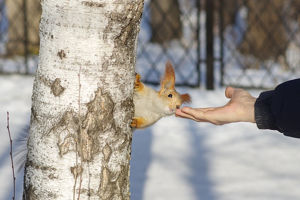 Прикрепленное изображение: IMGP0838410.jpg