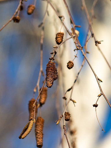 Прикрепленное изображение: IMGP3333-2.jpg