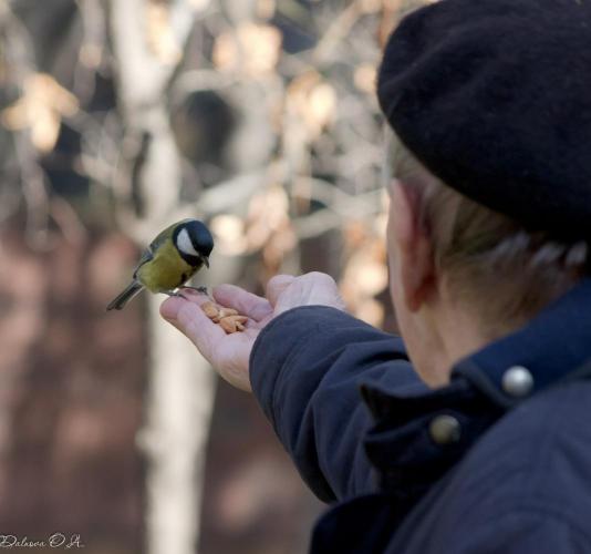 Прикрепленное изображение: IMGP7227.jpg