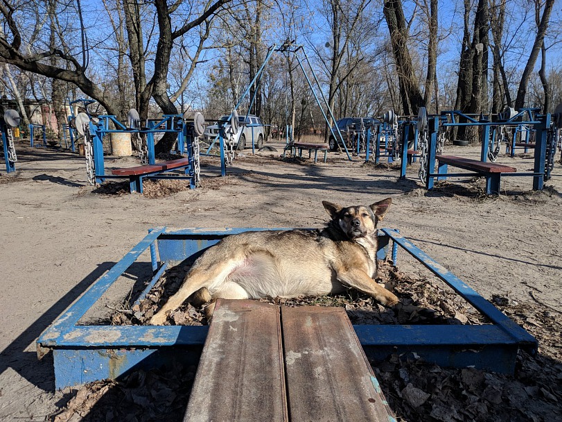 Прикрепленное изображение