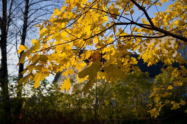 Прикрепленное изображение: DSC00298.jpg
