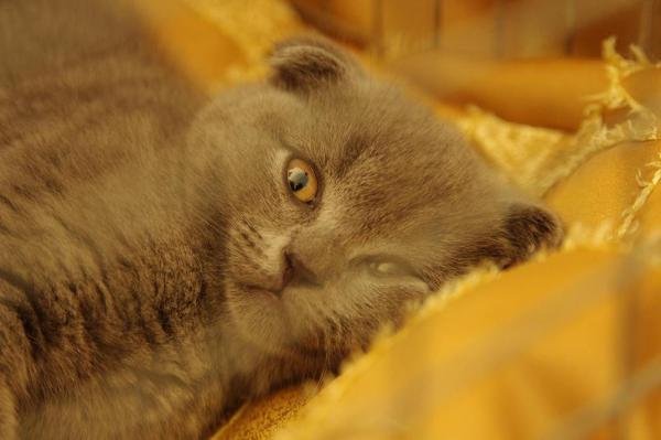 Прикрепленное изображение: IMGP1509s.jpg