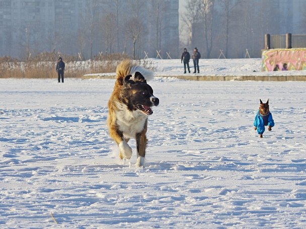 Прикрепленное изображение: Uli_Park_red.jpg