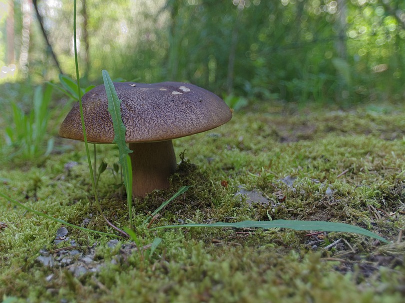 Прикрепленное изображение