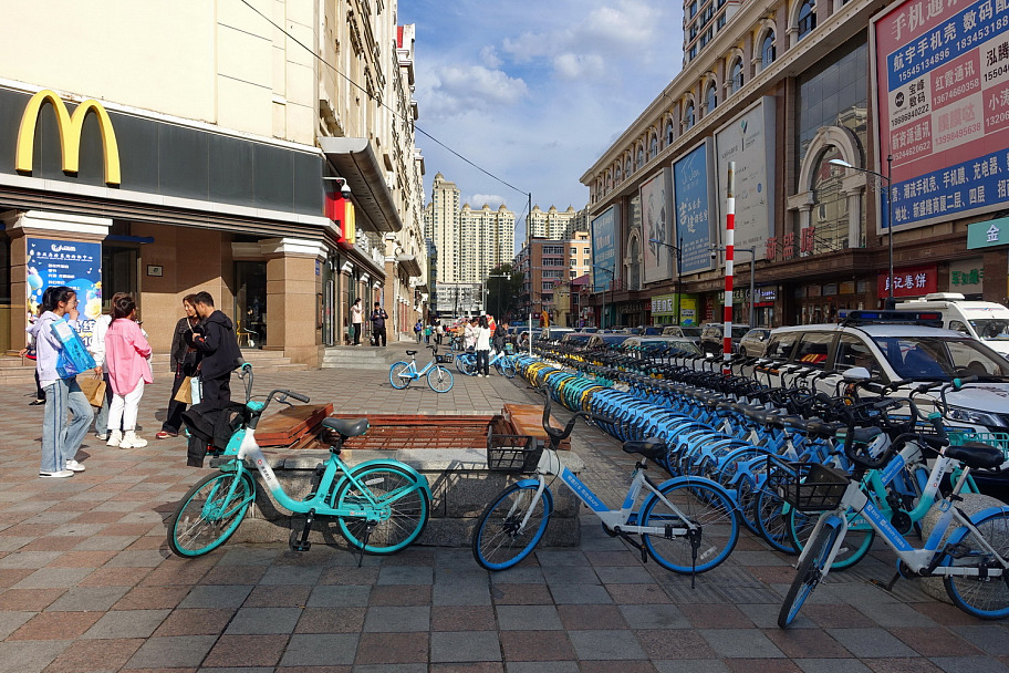 Прикрепленное изображение: DSC07897_2smsm.JPG