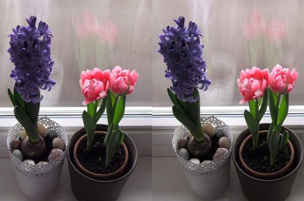 Прикрепленное изображение: DSCF6015g_r.jpg