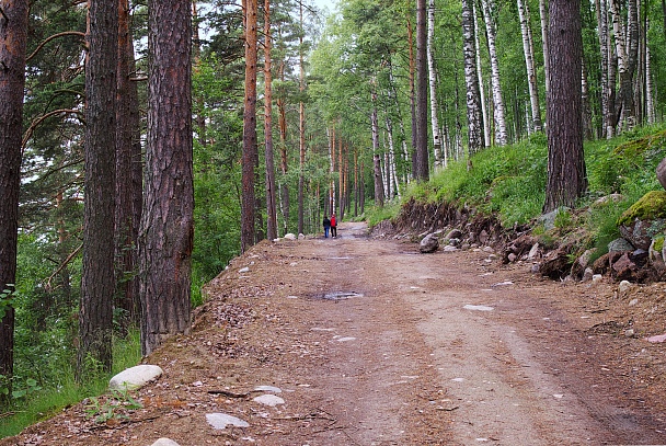 Прикрепленное изображение: Прогулка по дремучему лесу.jpg