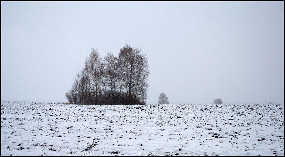 Прикрепленное изображение: Без-имени-1.jpg