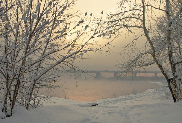 Прикрепленное изображение: Копия R0011599.JPG