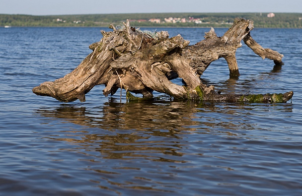 Прикрепленное изображение: _IGP7262.jpg