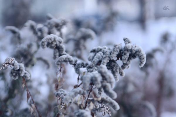 Прикрепленное изображение: z_bbef789c.jpg