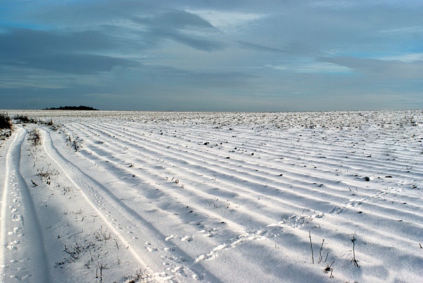 Прикрепленное изображение: IMGP0990.jpgб.jpg