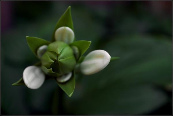 Прикрепленное изображение: IMGP7012.jpg