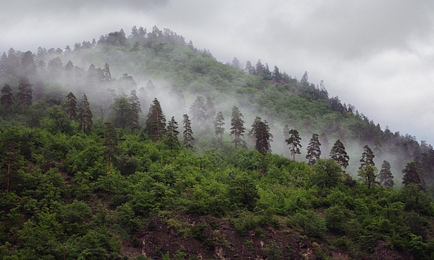 Прикрепленное изображение: Borjomi-04.jpg