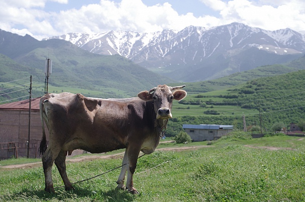 Прикрепленное изображение: Tatev20.JPG