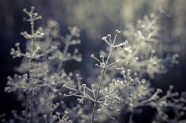 Прикрепленное изображение: IMGP2703.jpg