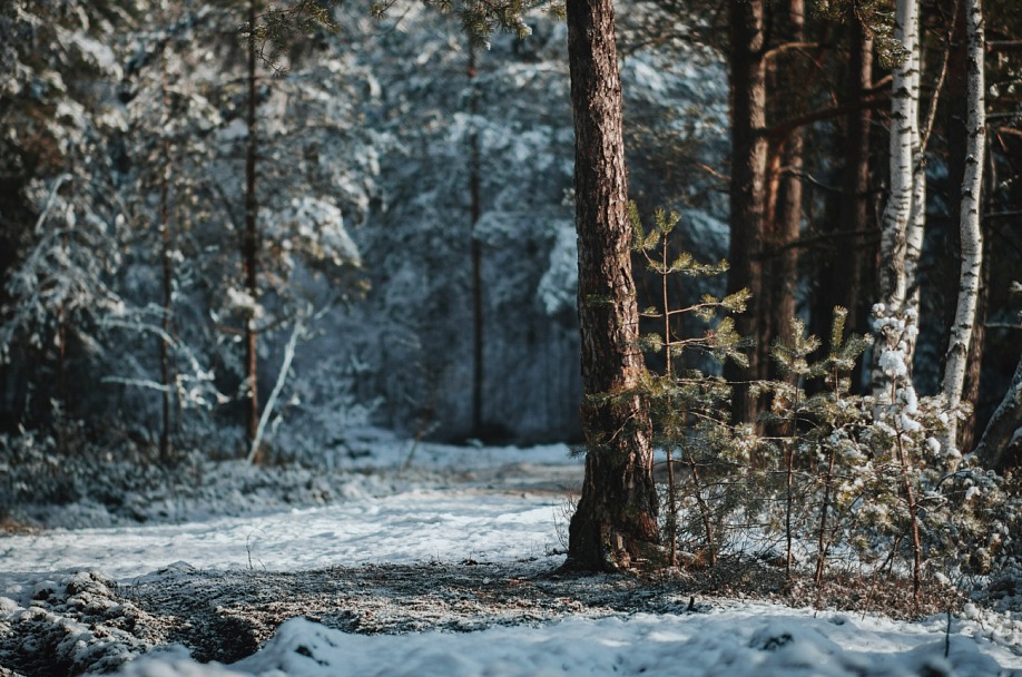 Прикрепленное изображение