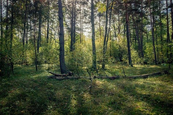 Прикрепленное изображение: IMGP2350.jpg