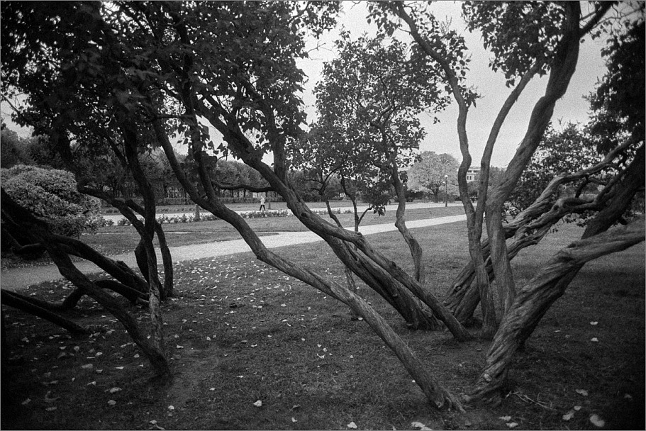 Прикрепленное изображение: knn_FujicaST-801(2024)(4)_Takumar 24mm3.5_Ж-2х_Fomapan 400 как 400_Compard R09 1-50_22С_11минут_1партия(3)_1200.jpg